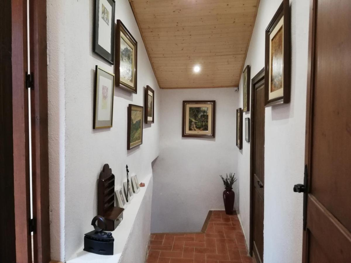 Sant Guim de Freixenet Cal Bove 아파트 외부 사진